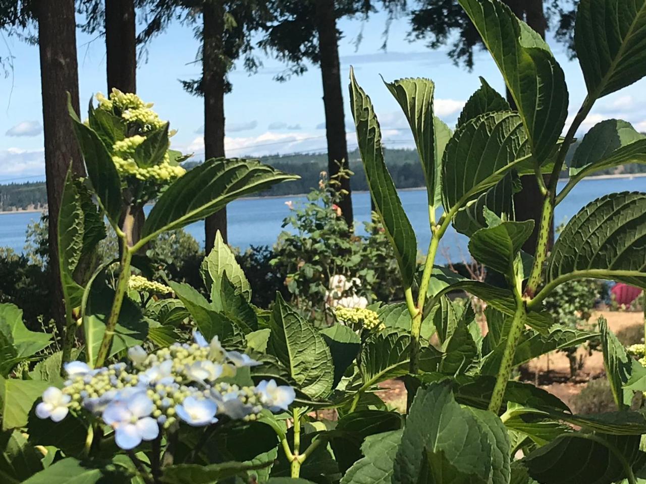 Union Bay Log Home Dış mekan fotoğraf